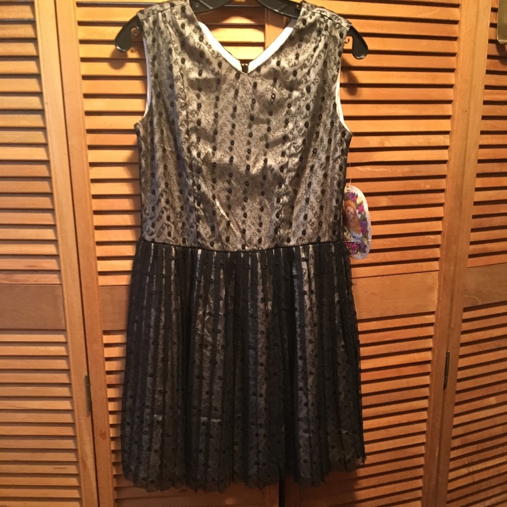 Dorissa Black and Beige Dress